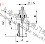 D81X衛生級快裝蝶閥外形結構圖