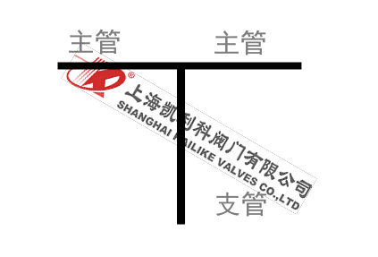 正折流式T型過濾器管路支管圖